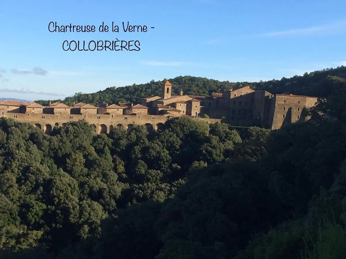Villa Lou Gecko Hyères Hébergement de vacances